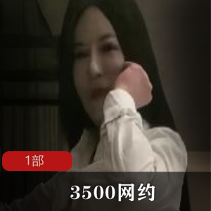 3500网约魔都大圈女神1部