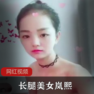 长腿美女岚熙 【百度网盘】