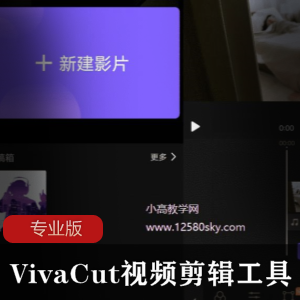 VivaCut视频剪辑工具专业版