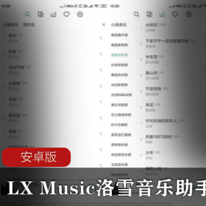 LX Music洛雪音乐助手安卓版