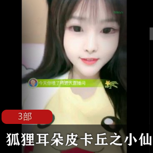 狐狸耳朵皮卡丘之小仙女玉墨