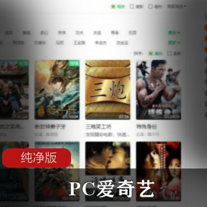 PC爱奇艺