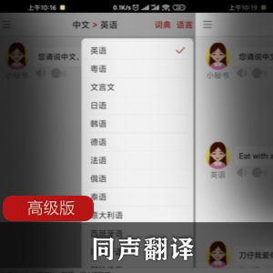 同声翻译高级版