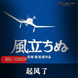 日本动画《起风了》经典高清珍藏版推荐